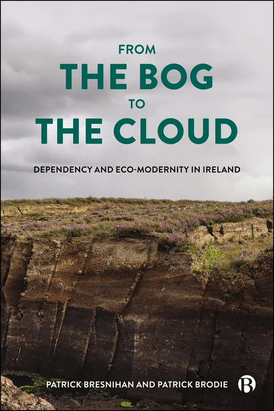 From the Bog to the Cloud: Dependency and Eco-Modernity in Ireland