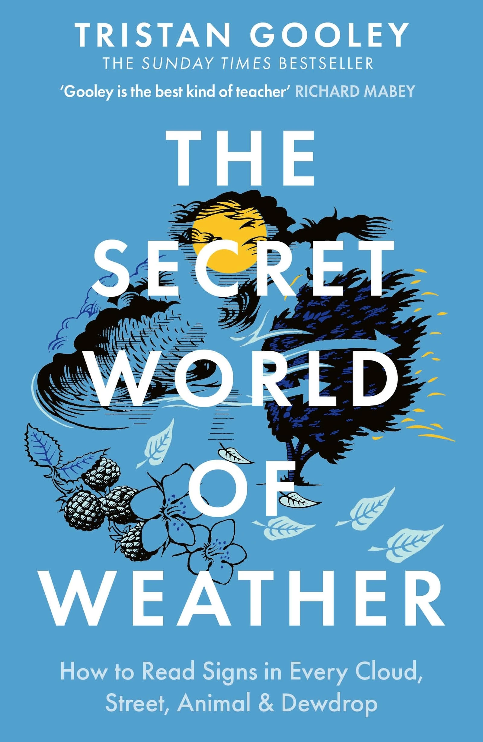 The Secret World of Weather: A must-have for all nature lovers - perfect reading for your autumn adventures