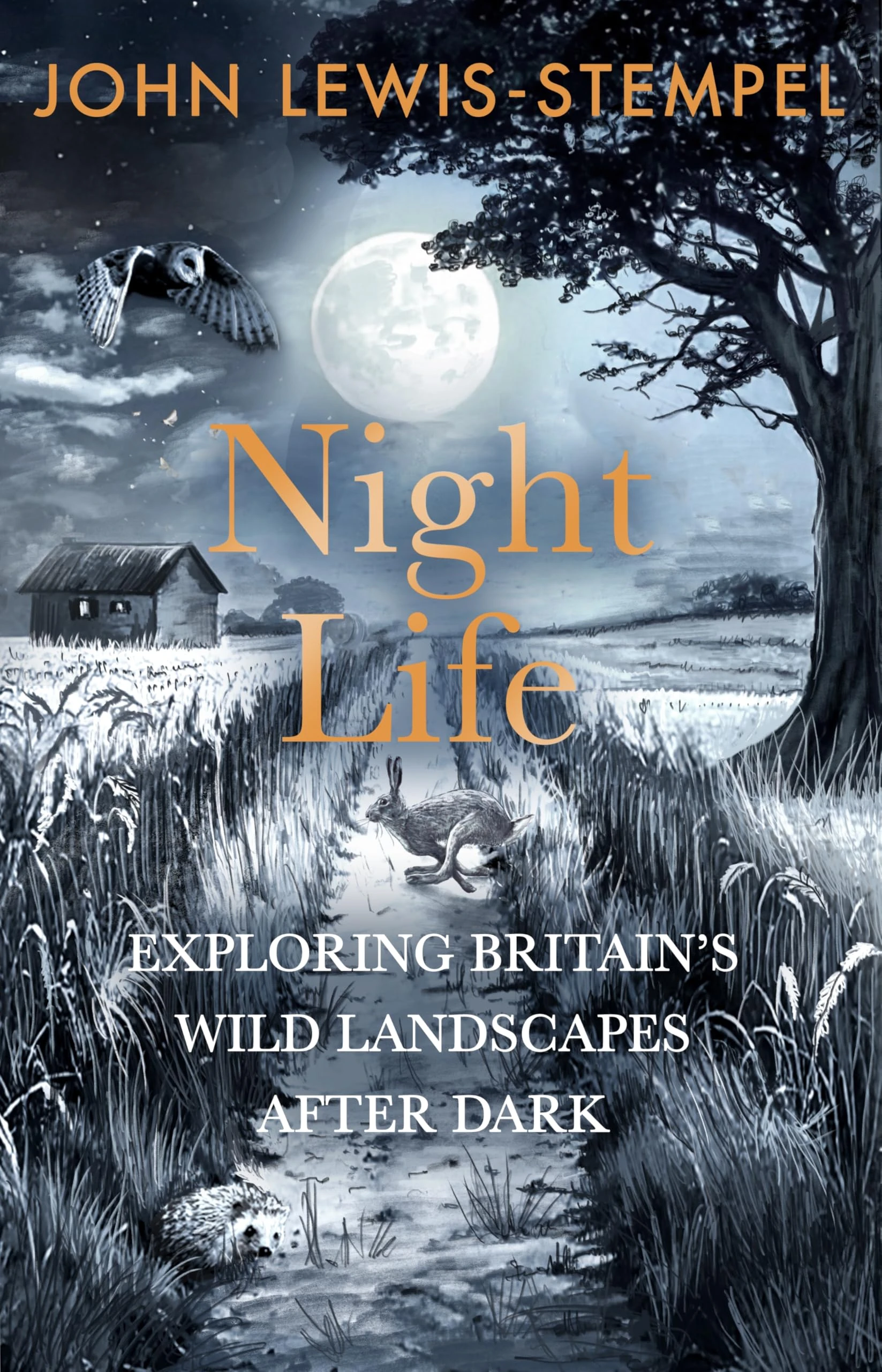 Night Life: Walking Britain’s wild landscapes after dark