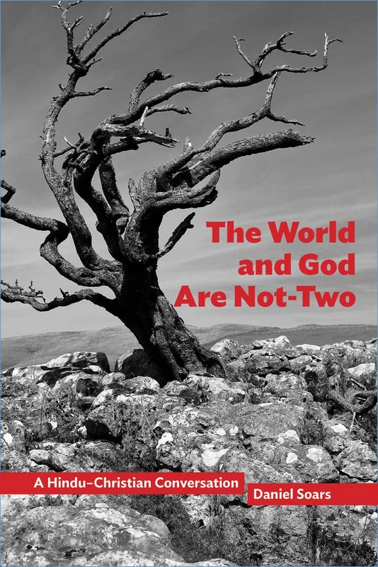 The World and God Are Not-Two: A Hindu–Christian Conversation: 10 (Comparative Theology: Thinking Across Traditions)