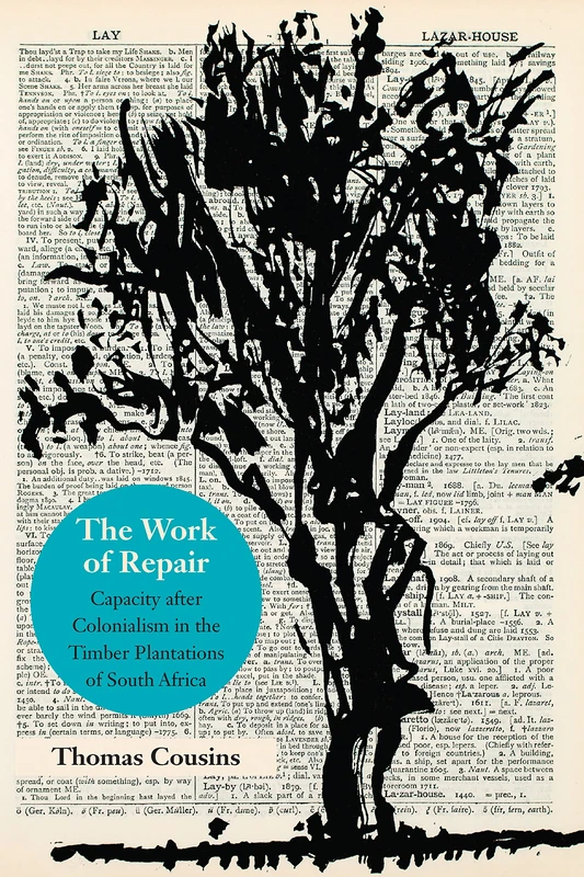 The Work of Repair: Capacity after Colonialism in the Timber Plantations of South Africa (Thinking from Elsewhere) - Image 1