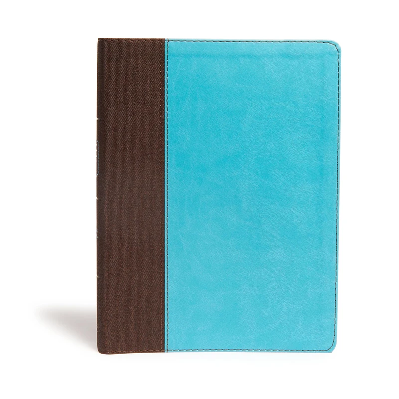 CSB Life Essentials Study Bible, Brown/Sky LeatherTouch, Indexed: Christian Standard Bible Life Essentials Study Bible, Brown/Sky Leathertouch
