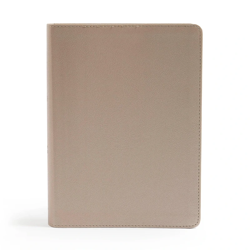 CSB She Reads Truth Bible, Champagne Gold LeatherTouch: Notetaking Space, Devotionals, Reading Plans, Easy-To-Read Font