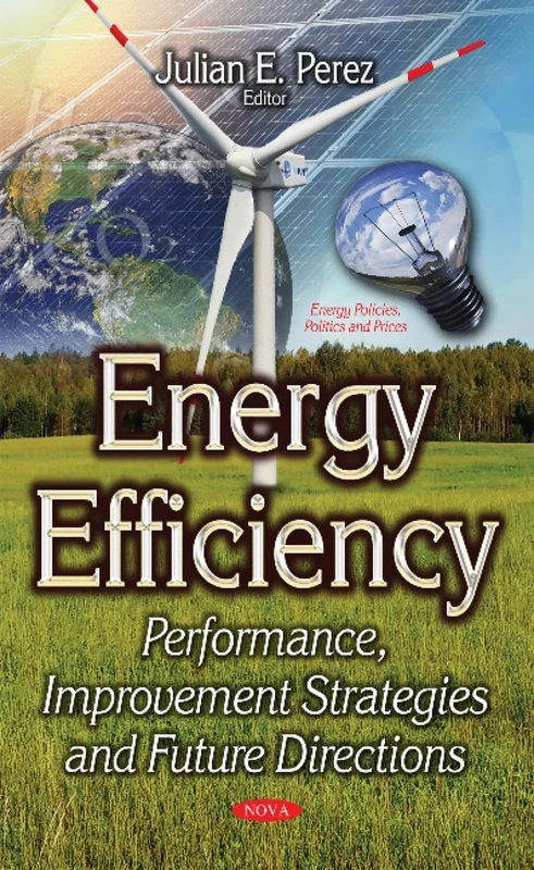 Energy Efficiency: Performance, Improvement Strategies & Future Directions (Energy Policies, Politics and Prices)