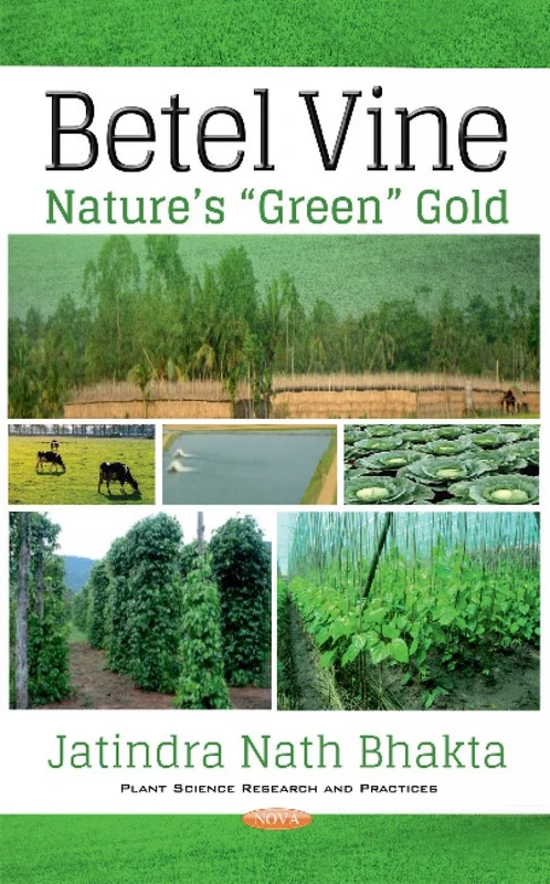 Betel Vine: Nature s Green Gold - Image 1