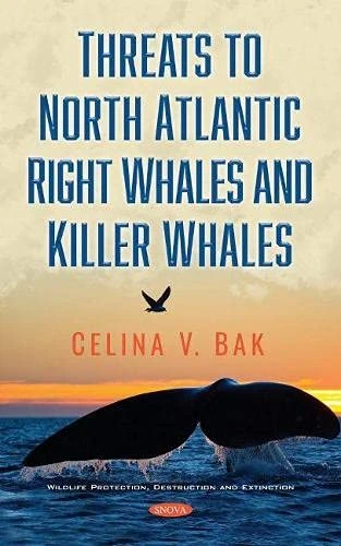 Threats to North Atlantic Right Whales and Killer Whales (Wildlife Protection, Destruction and Extinction) - Image 1