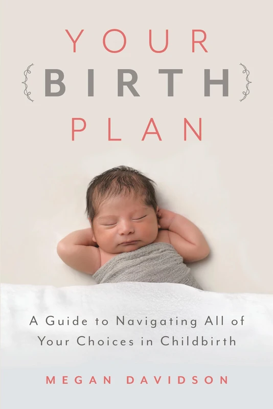 Your Birth Plan: A Guide to Navigating All of Your Choices in Childbirth - Image 1