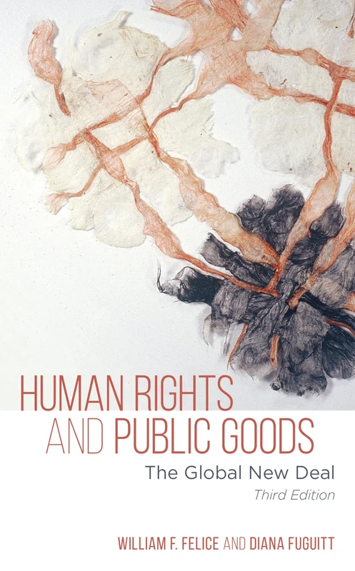 Human Rights and Public Goods: The Global New Deal, Third Edition