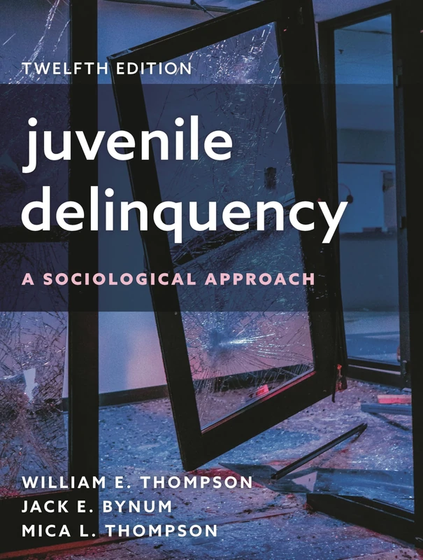 Juvenile Delinquency: A Sociological Approach