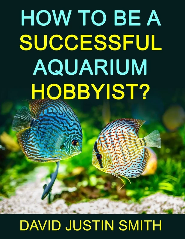 How to be a Successful Aquarium Hobbyist