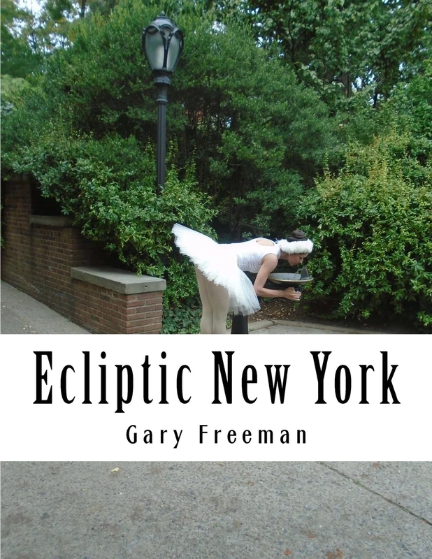 Ecliptic New York