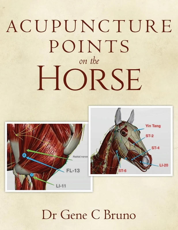 Acupuncture Points on the Horse - Image 1