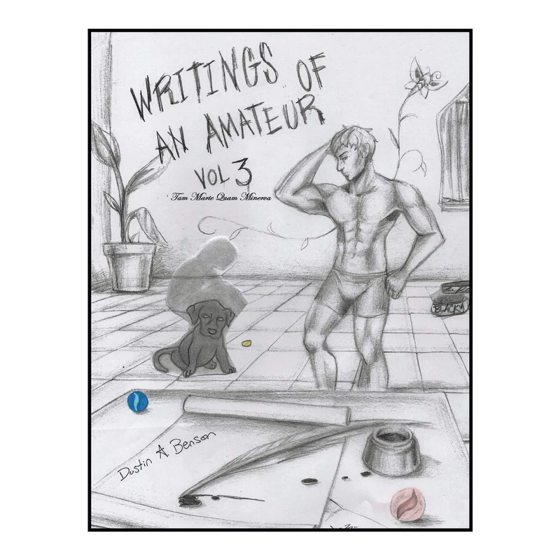 Writings of an Amateur: Volume 3 - Image 1