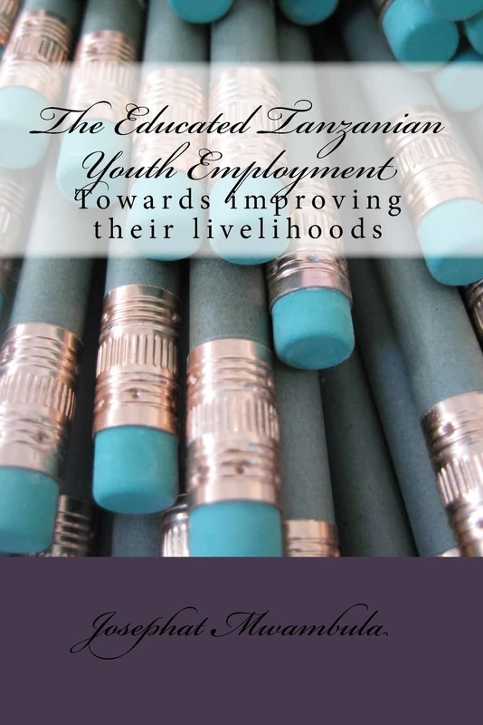The Educated Tanzanian youth employment: Towards improving their livelihoods