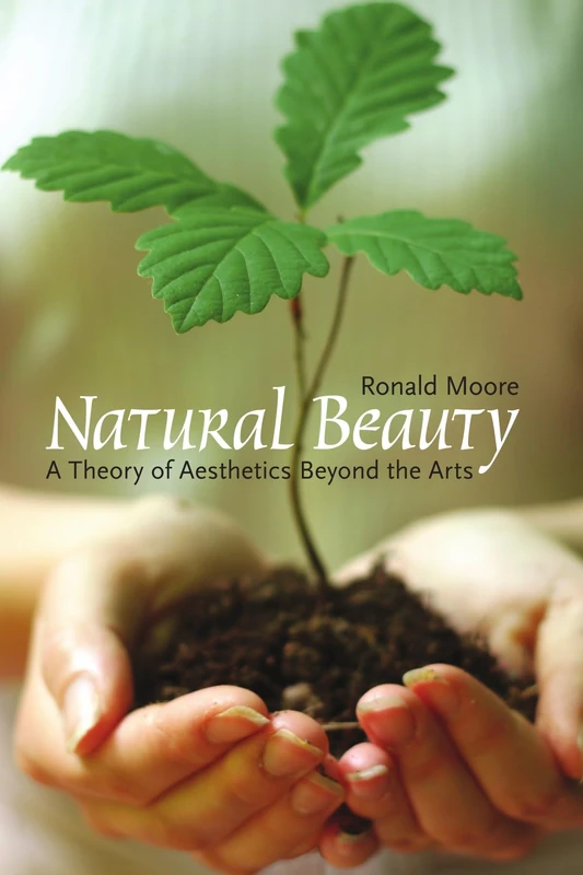Natural Beauty: A Theory of Aesthetics Beyond the Arts (Critical Issues in Philosophy)