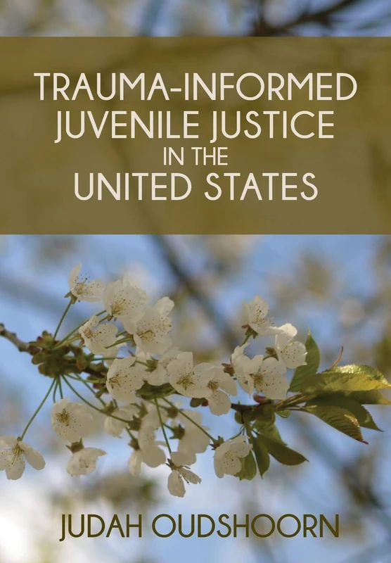 Trauma-Informed Juvenile Justice in the United States - Image 1