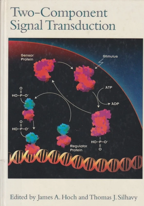 Two-Component Signal Transduction - Image 1