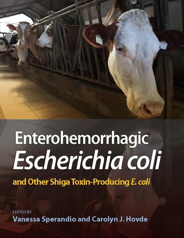 Enterohemorrhagic Escherichia Coli and Other Shiga Toxin-Producing E. Coli - Image 1