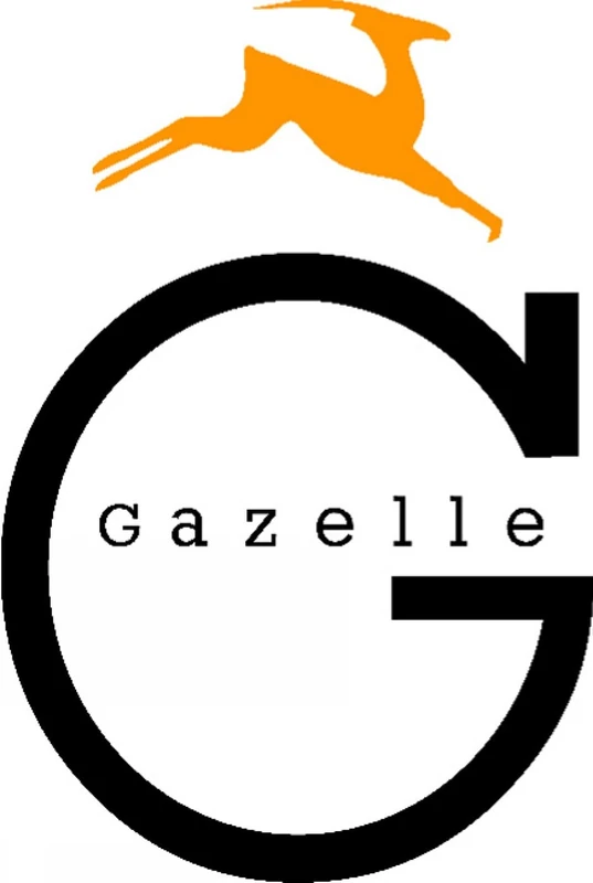 Game Theory and Applications: v. 3 (Game Theory & Applications): Volume 3