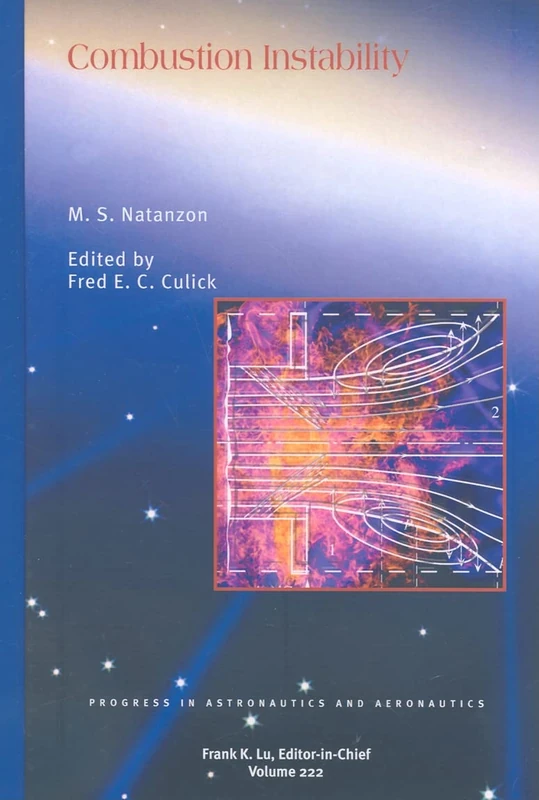 Combustion Instability: 222 (Progress in Astronautics and Aeronautics)