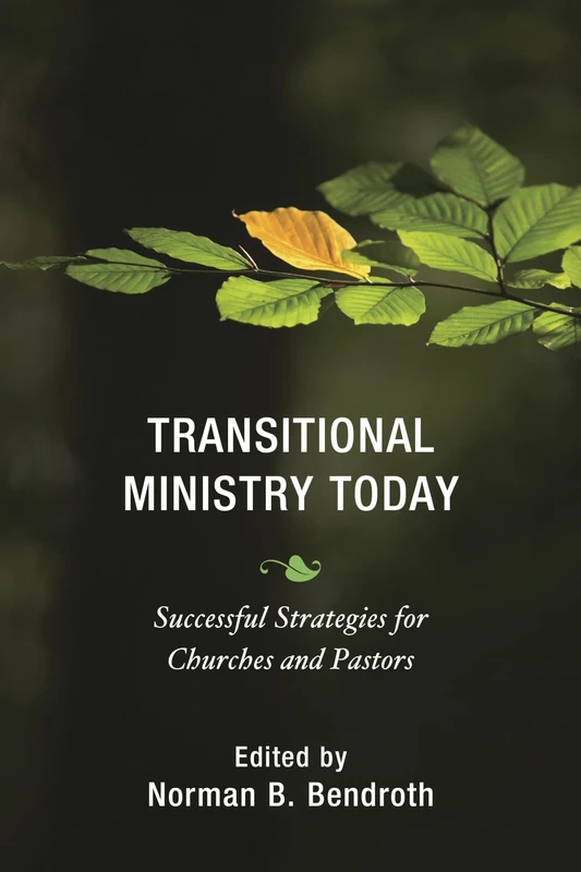 Transitional Ministry Today: Successful Strategies for Churches and Pastors - Image 1