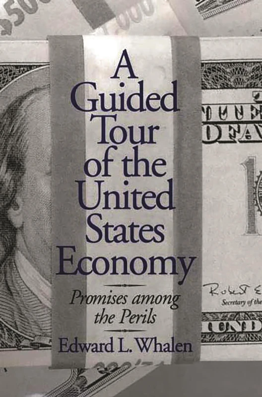 A Guided Tour of the United States Economy: Promises among the Perils