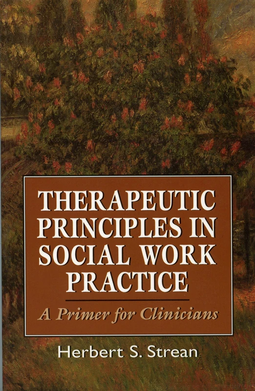Therapeutic Principles in Social Work Practice: A Primer for Clinicians (Master Work)