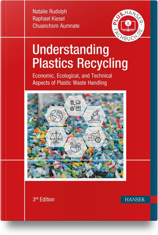 Understanding Plastics Recycling: Economic, Ecological, and Technical Aspects of Plastic Waste Handling
