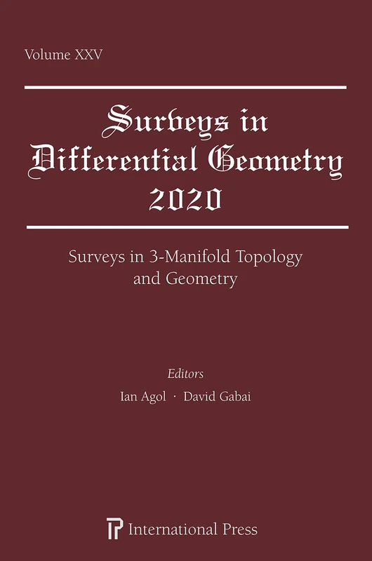 Surveys in 3-Manifold Topology and Geometry (Surveys in Differential Geometry) - Image 1