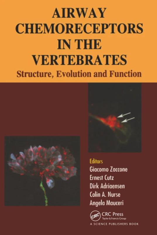 Airway Chemoreceptors in Vertebrates: Structure, Evolution and Function