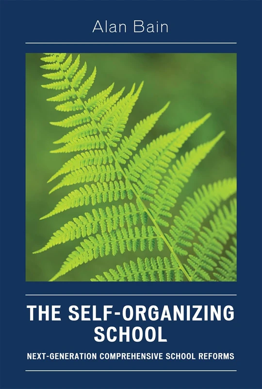 The Self-organizing School: Next Generation Comprehensive School Reforms