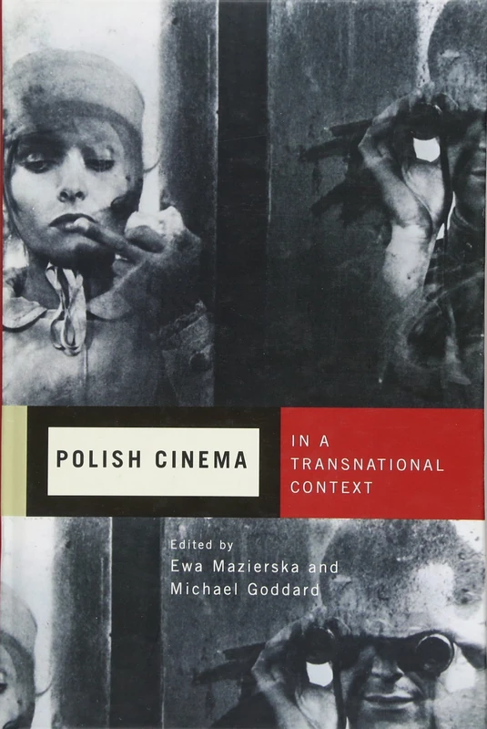 Polish Cinema in a Transnational Context (Rochester Studies in East and Central Europe)
