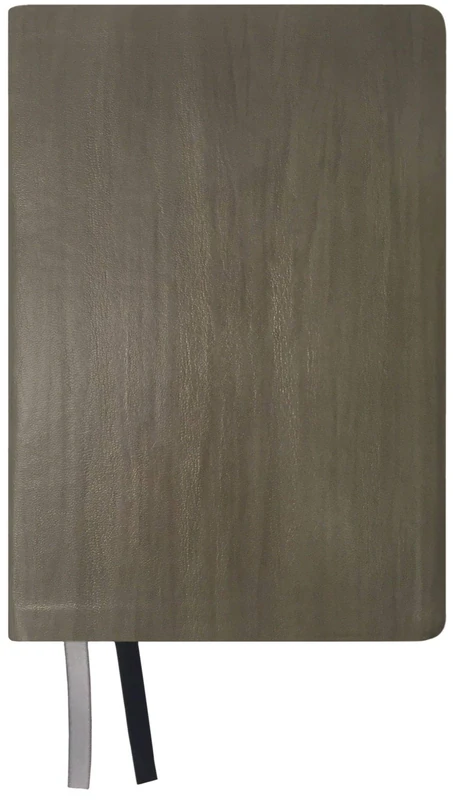 NASB 2020 Giant Print Text Bible, Grey