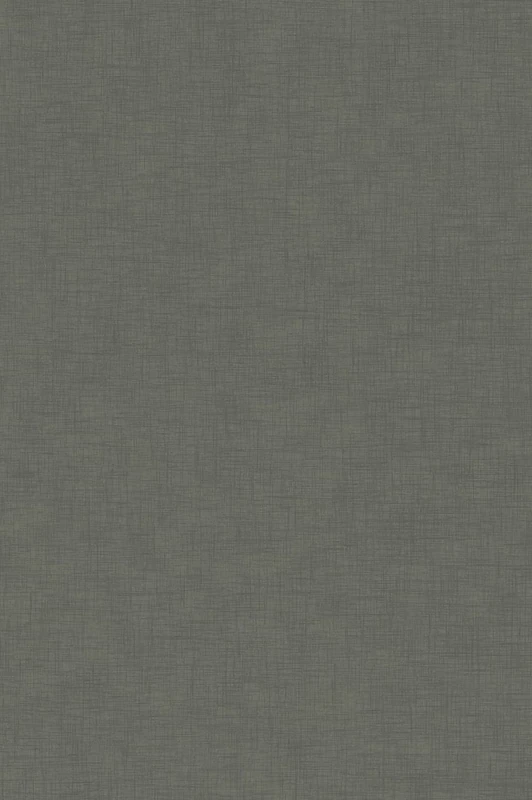 The Judicial Dictionary of Words and Phrases Judicially Interpreted [1890] - Image 1