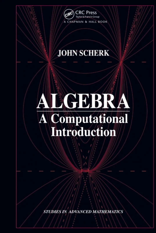 Algebra: A Computational Introduction (Studies in Advanced Mathematics)