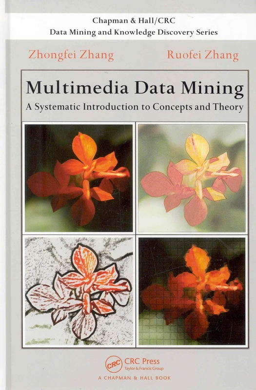 Multimedia Data Mining: A Systematic Introduction to Concepts and Theory (Chapman & Hall/CRC Data Mining and Knowledge Discovery Series)