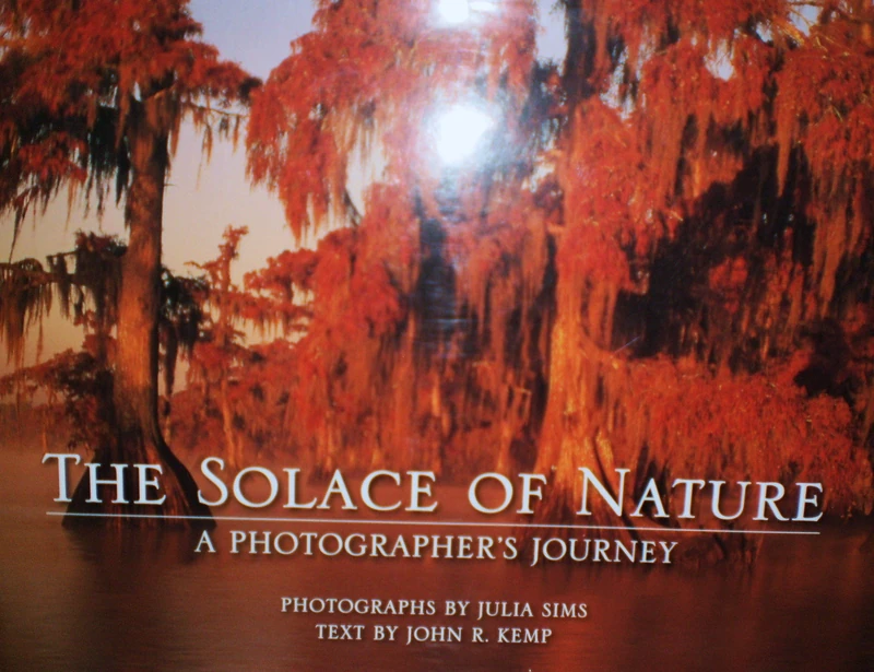 The Solace of Nature: A Photographer's Journey