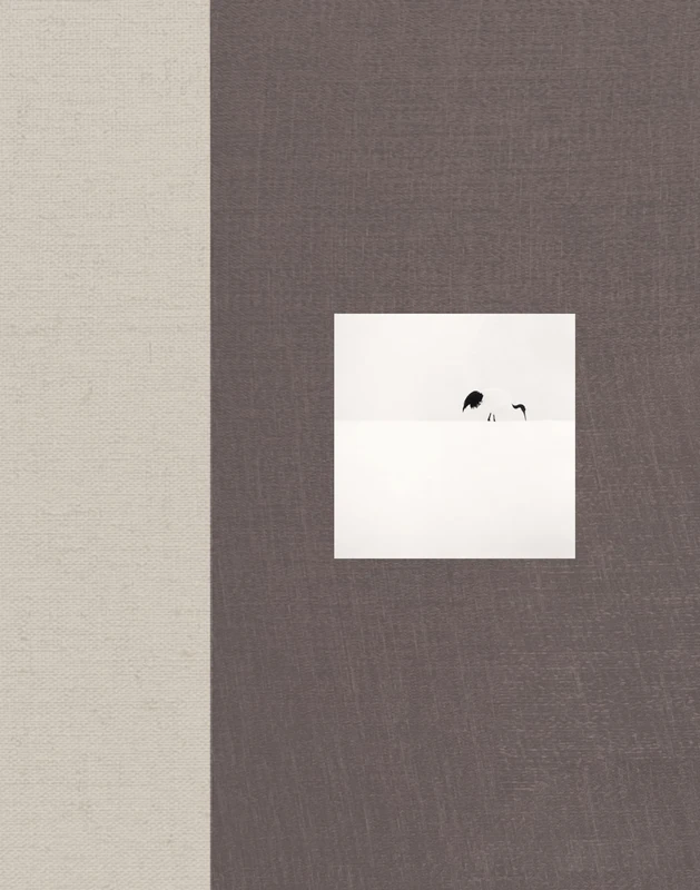 Michael Kenna Japan: A Love Story /anglais