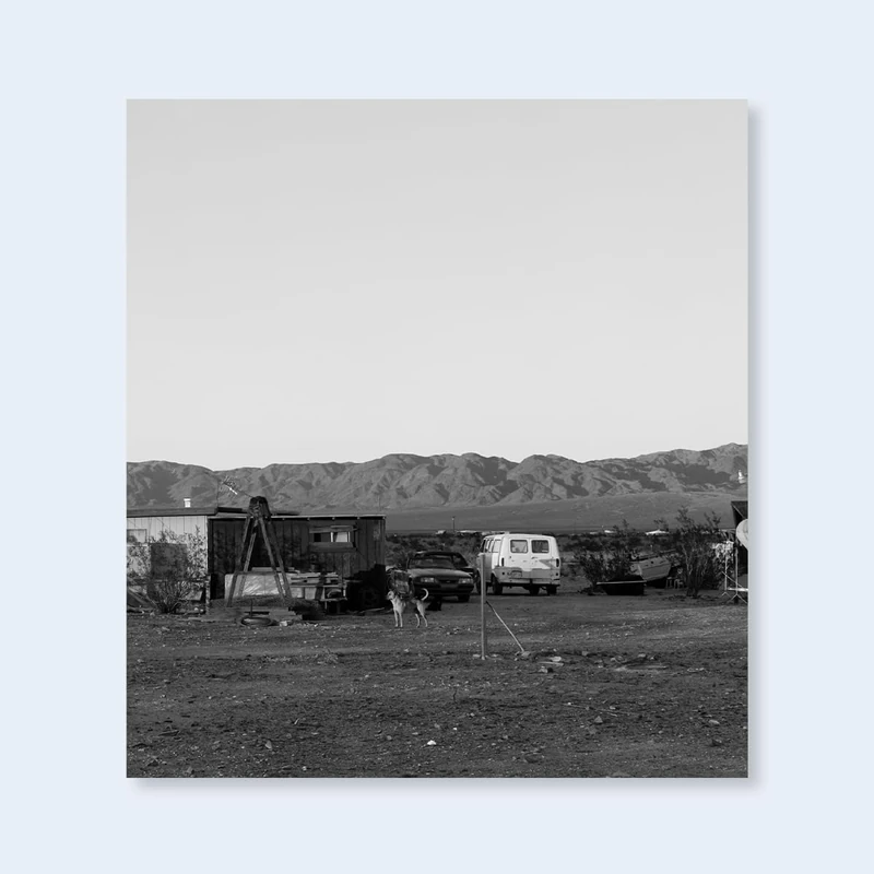 John Divola Dogs Chasing My Car in the Desert /anglais