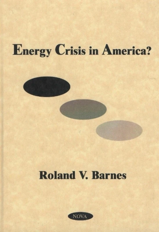 Energy Crisis in America? - Image 1