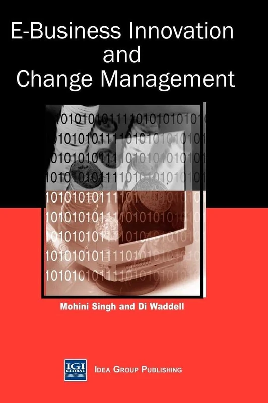 e-Business Innovation and Change Management