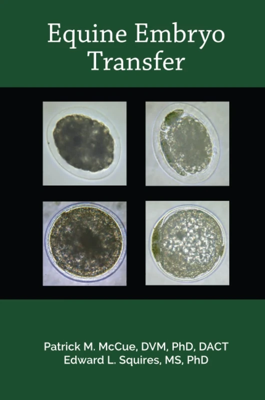 Equine Embryo Transfer