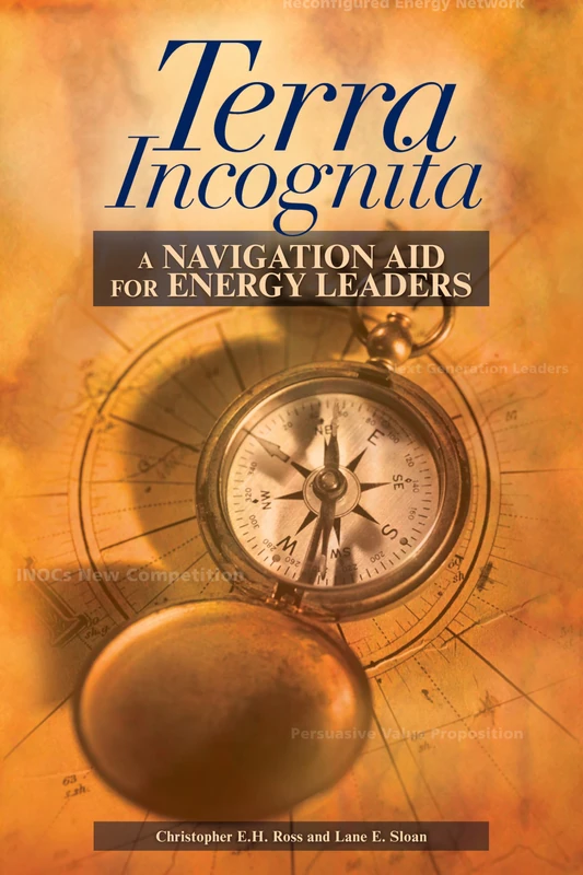 Terra Incognita: A Navigation Aid for Energy Leaders - Image 1