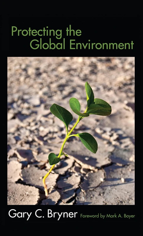 Protecting the Global Environment (International Studies Intensives)