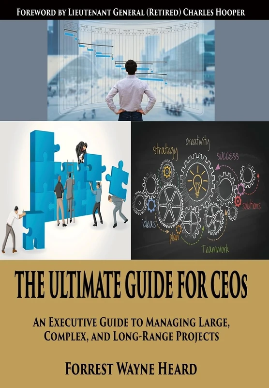 The Ultimate Guide For CEOs: An Executive Guide to Managing Large, Complex, and Long Range Projects - Image 1