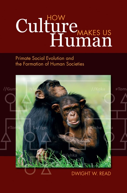 How Culture Makes Us Human: Primate Social Evolution and the Formation of Human Societies (Key Questions in Anthropology)