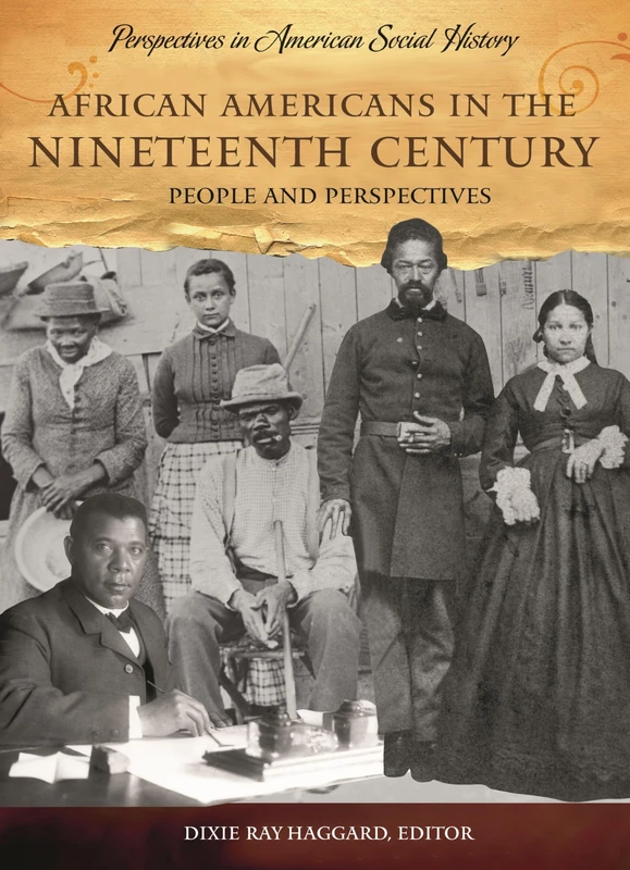 African Americans in the Nineteenth Century: People and Perspectives (Perspectives in American Social History)