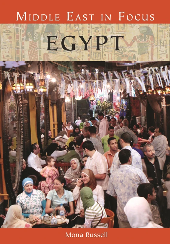 Egypt (Middle East in Focus)