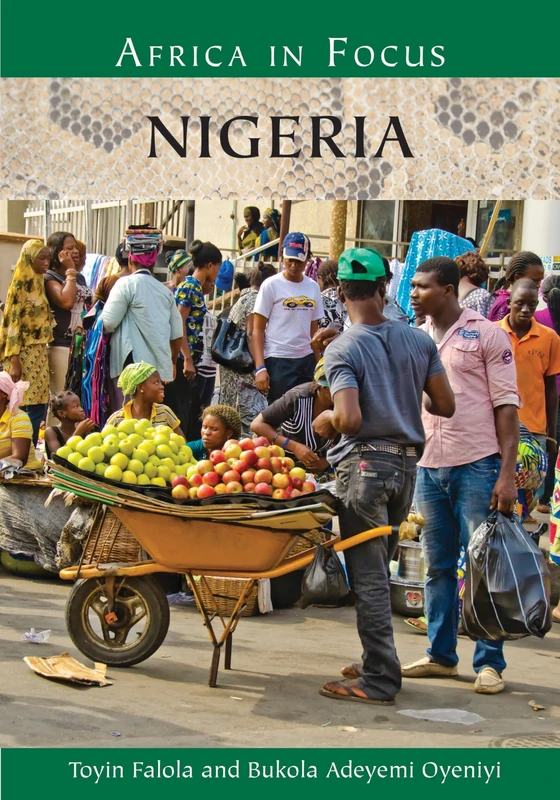 Nigeria (Africa in Focus)