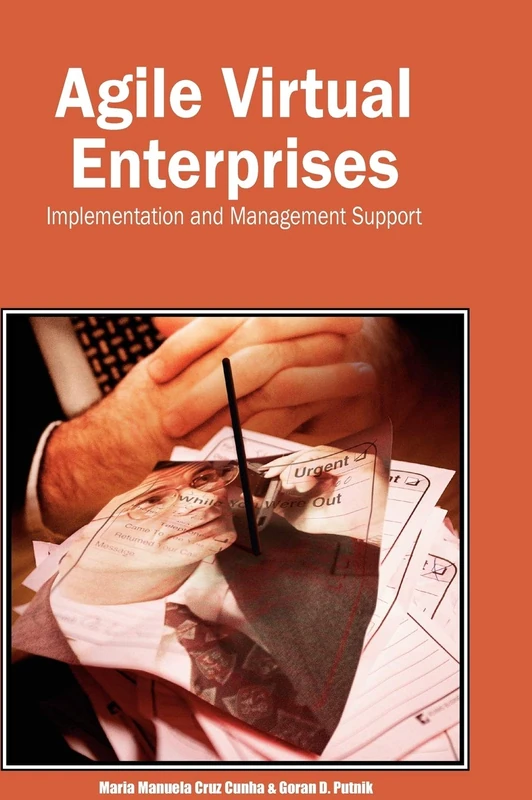 Agile Virtual Enterprises: Implementation and Management Support